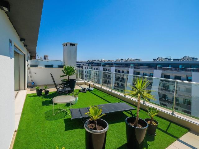 Apartamento, Montijo e Afonsoeiro