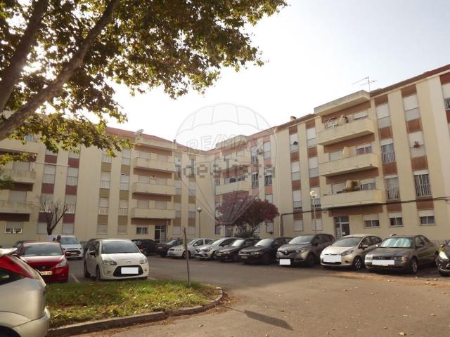 Apartamento, Montijo e Afonsoeiro