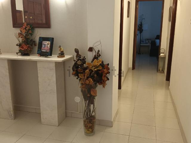 Apartamento, Montijo e Afonsoeiro