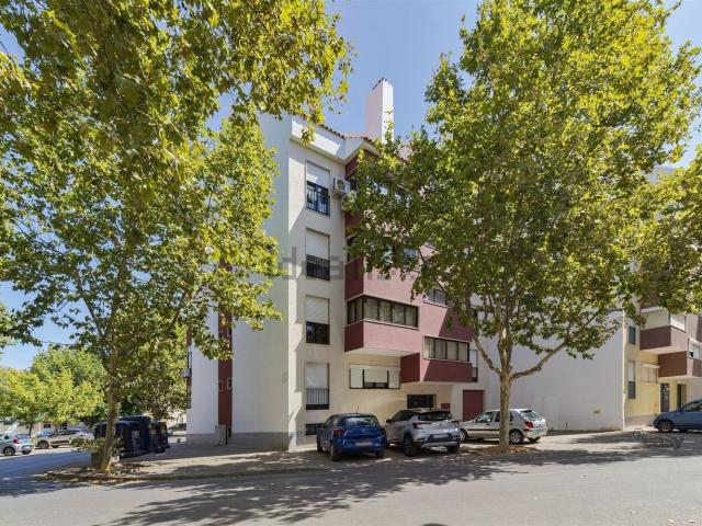 Apartamento, Montijo e Afonsoeiro
