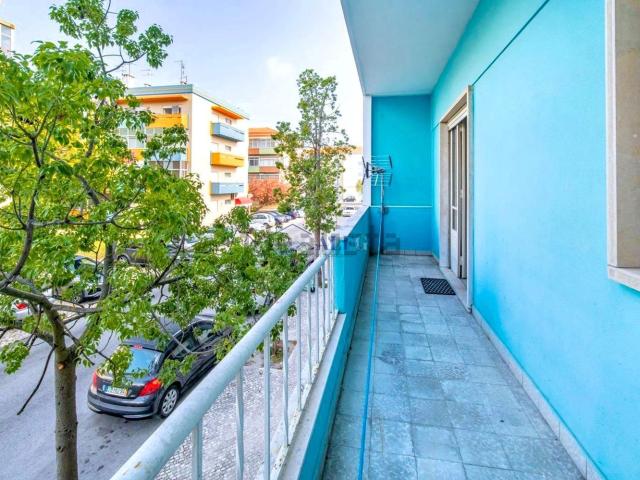 Apartamento, Montijo e Afonsoeiro