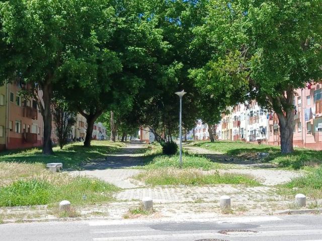 Apartamento, Montijo e Afonsoeiro