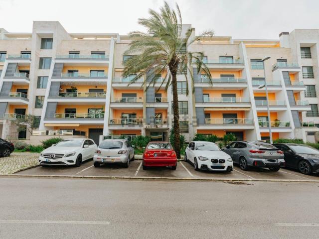 Apartamento, Montijo e Afonsoeiro
