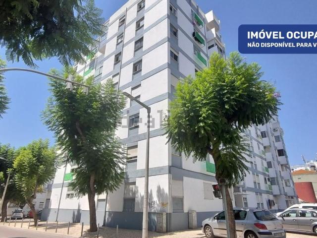 Apartamento, Moita