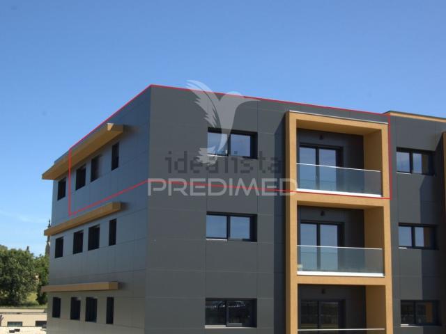 Apartamento, Nine
