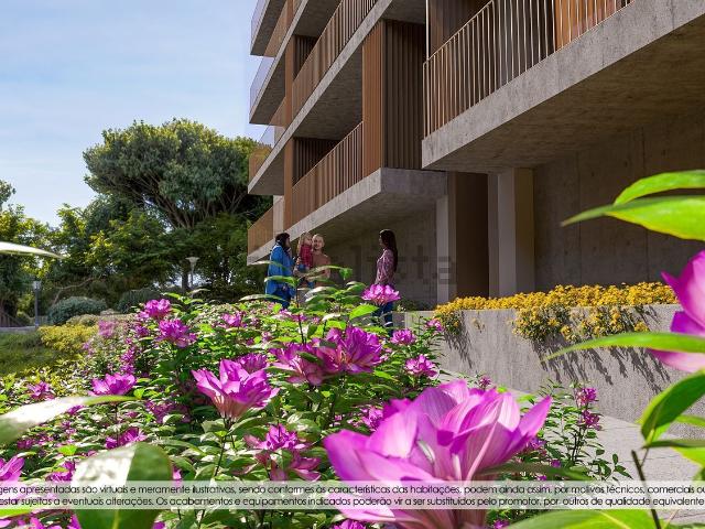Apartamento, Oliveira do Douro