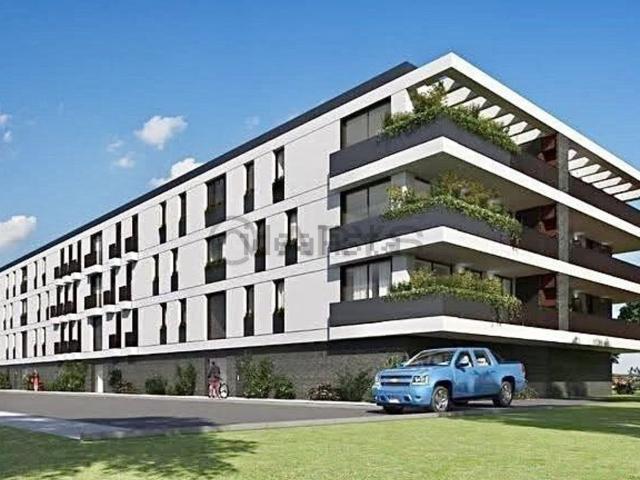 Apartamento, Palmeira
