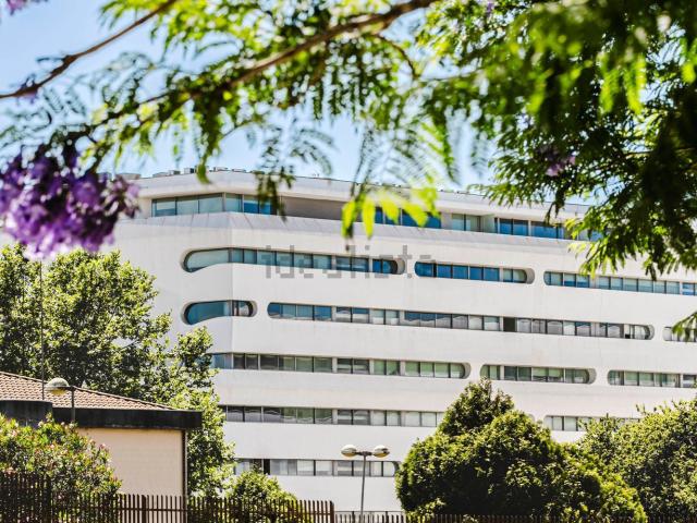 Apartamento, Paranhos