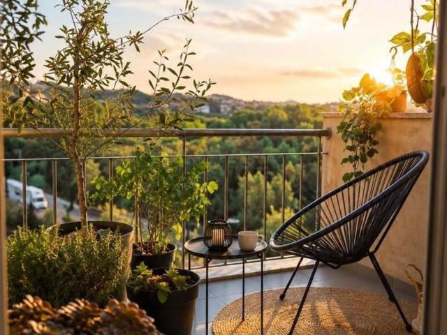 Apartamento, Paredes