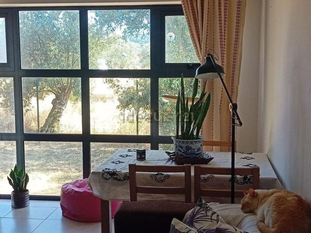 Apartamento, Quinta do Anjo