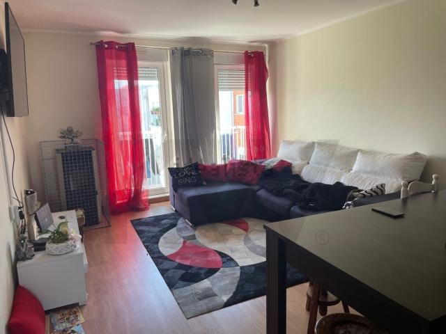 Apartamento, Recardães e Espinhel
