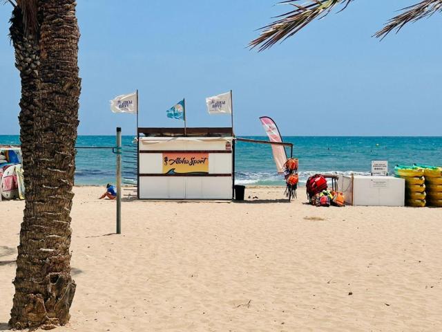 Apartamento Reformado en Primera Línea de Playa Muchavista con Licencias Turísticas