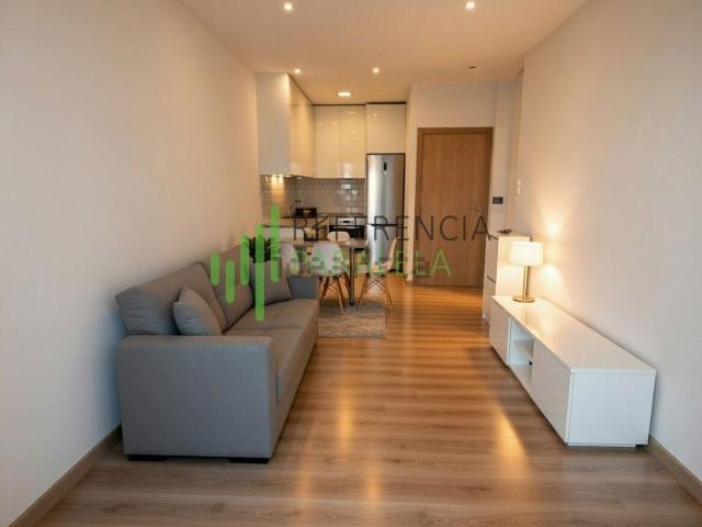 Apartamento, Santa Catarina, Cedofeita Santo Ildefonso Sé Miragaia São Nicolau Vitória