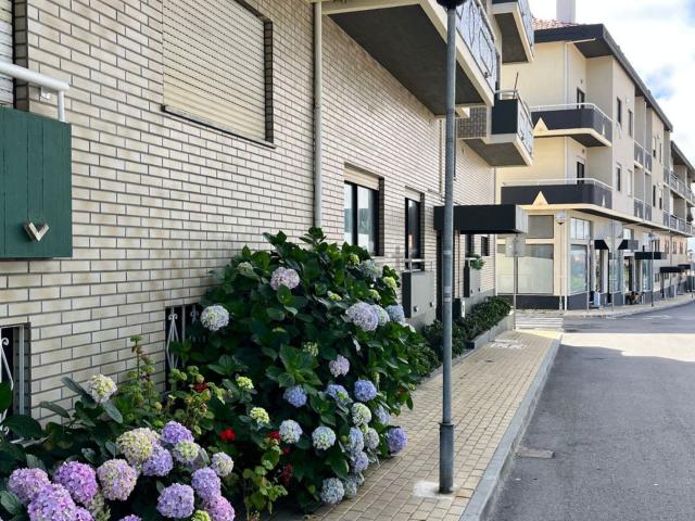 Apartamento, Santa Joana