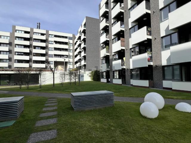 Apartamento, Santo António dos Olivais