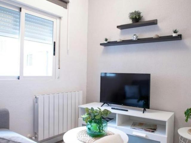 Apartamentos 3 Dormitorio Madrid Madrid ELS102854396