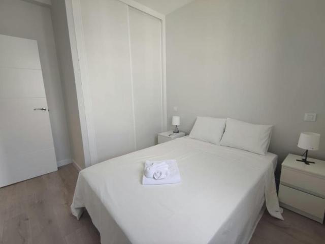 Apartamentos 3 Dormitorio Madrid Madrid ES101849594