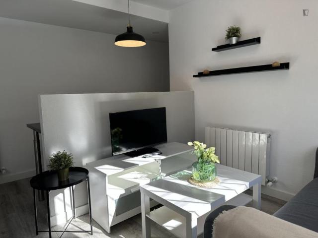 Apartamentos 3 Dormitorio Madrid Madrid ES104711888
