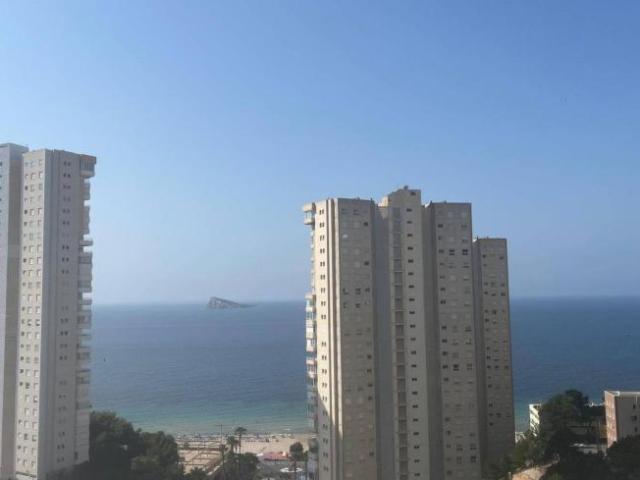 Apartamentos 3 Dormitorio Alicante Alicante ES92823696