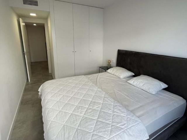 Apartamentos 3 Dormitorio Alicante Communidad Valencia ELS102436434