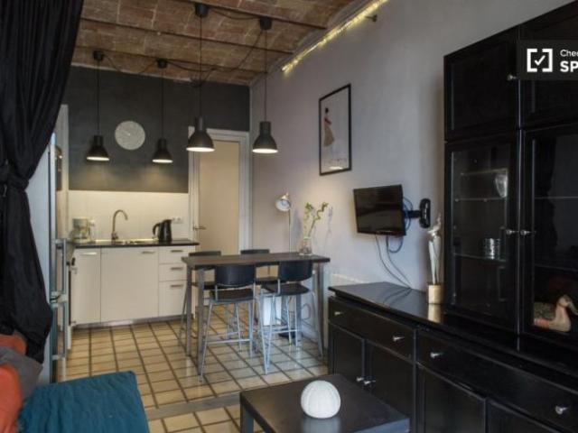 Apartamentos 3 Dormitorio Barcelona Barcelona ES101672089
