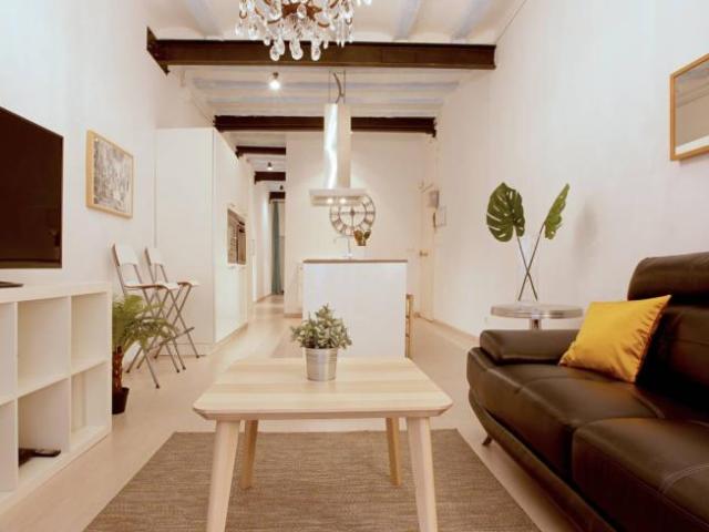 Apartamentos 3 Dormitorio Barcelona Barcelona ES101823785