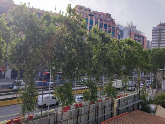 Apartamentos 3 Dormitorio Barcelona Barcelona ES104365757