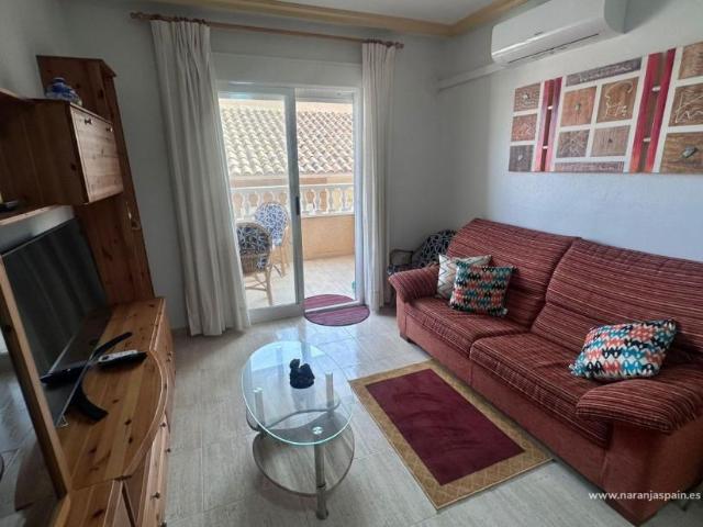 Apartamentos 3 Dormitorio Guardamar Del Segura Alicante, Costa Blanca ES96440547