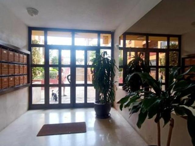 Apartamentos 3 Dormitorio Santa Cruz De Tenerife Santa Cruz De Tenerife ELS94188734