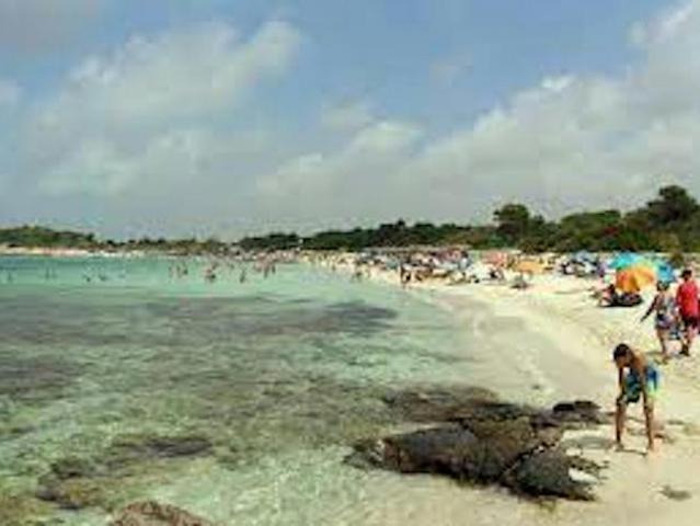 Apartamentos 3 Dormitorio Ses Salines Ses Salines ES84774363