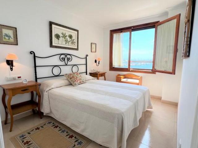 Apartamentos 3 Dormitorio Torrevieja Alicante ES103958877