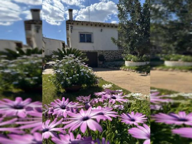 Apartamentos 3 Dormitorio Valencia Valencia ELS102207010