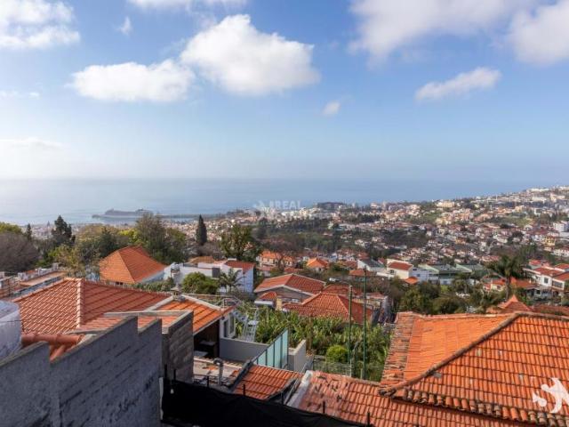 Apartamentos 3 quarto, Funchal Ilha da Madeira DS100984893