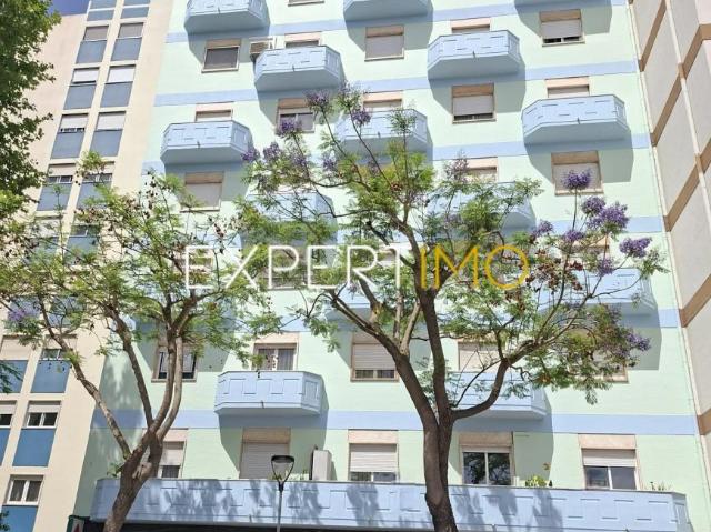 Apartamentos 3 quarto, União das freguesias de Setúbal Setúbal DS103063131