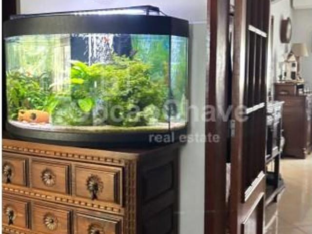 Apartamentos 3 quarto, Viseu Viseu DLS92830617