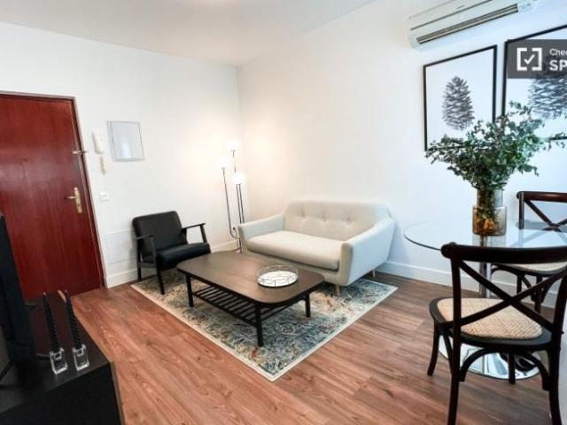 Apartamentos 1 Dormitorio Madrid Madrid ELS100049937