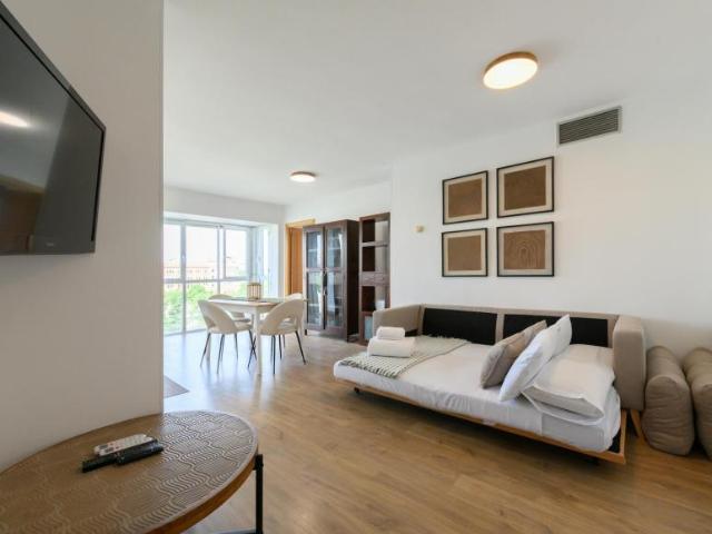 Apartamentos 1 Dormitorio Madrid Madrid ELS100672990