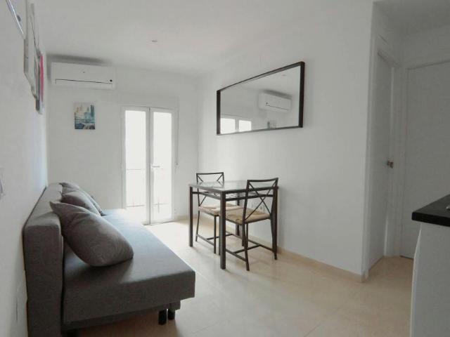 Apartamentos 1 Dormitorio Madrid Madrid ELS100726124