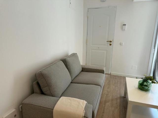 Apartamentos 1 Dormitorio Madrid Madrid ELS100726281