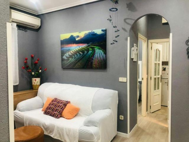 Apartamentos 1 Dormitorio Madrid Madrid ELS100766257