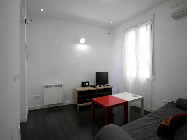 Apartamentos 1 Dormitorio Madrid Madrid ELS100766414