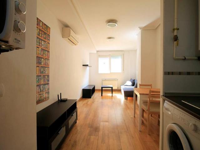 Apartamentos 1 Dormitorio Madrid Madrid ELS100843561