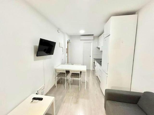 Apartamentos 1 Dormitorio Madrid Madrid ELS101111637