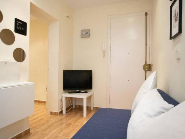 Apartamentos 1 Dormitorio Madrid Madrid ELS101223247