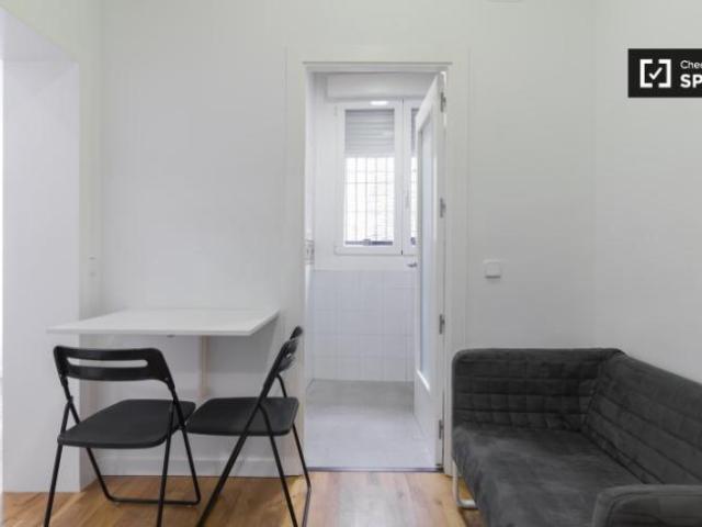 Apartamentos 1 Dormitorio Madrid Madrid ELS101306849
