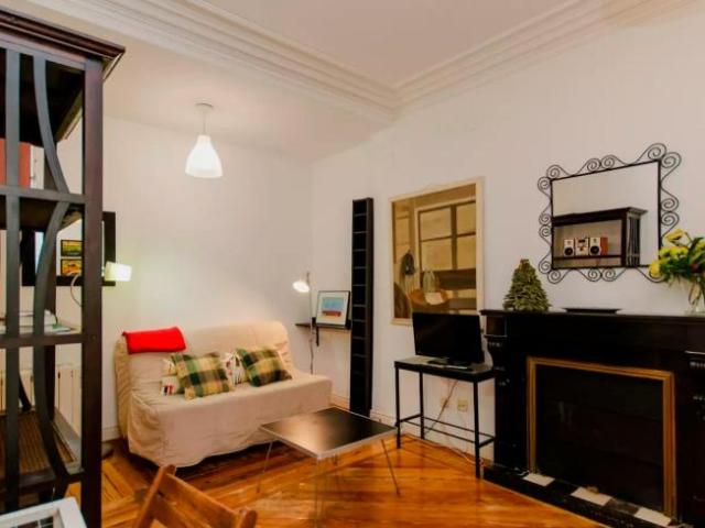 Apartamentos 1 Dormitorio Madrid Madrid ELS101372034