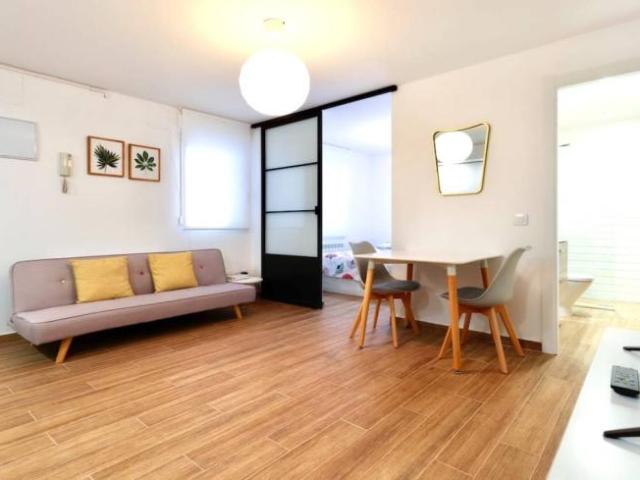 Apartamentos 1 Dormitorio Madrid Madrid ELS101694059