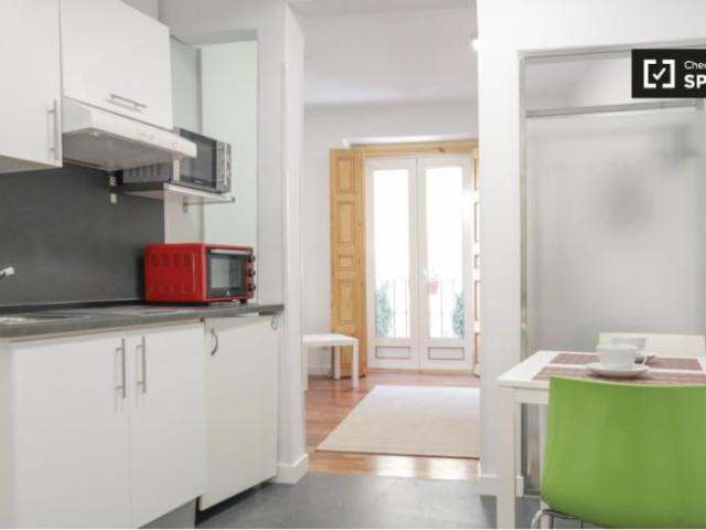 Apartamentos 1 Dormitorio Madrid Madrid ELS101693231