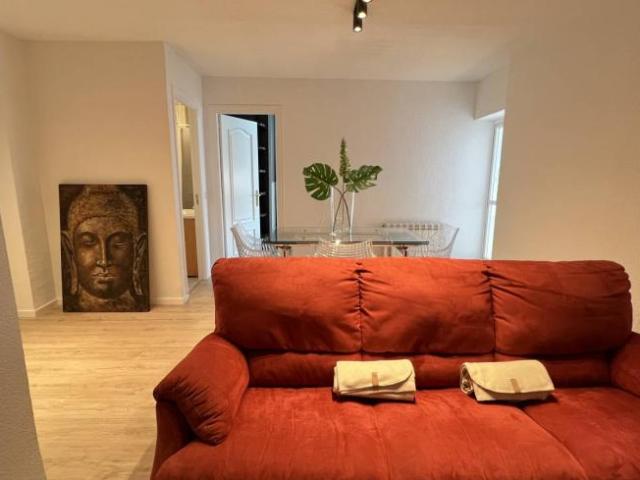 Apartamentos 1 Dormitorio Madrid Madrid ELS101731904