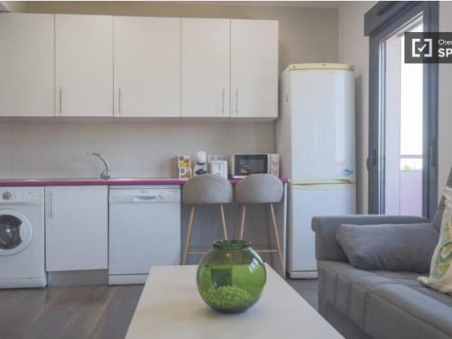 Apartamentos 1 Dormitorio Madrid Madrid ELS101776481
